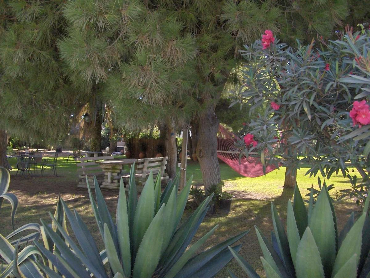 Villa Malyma Beach Front 10,000M2 Botanic Garden Саора Екстер'єр фото