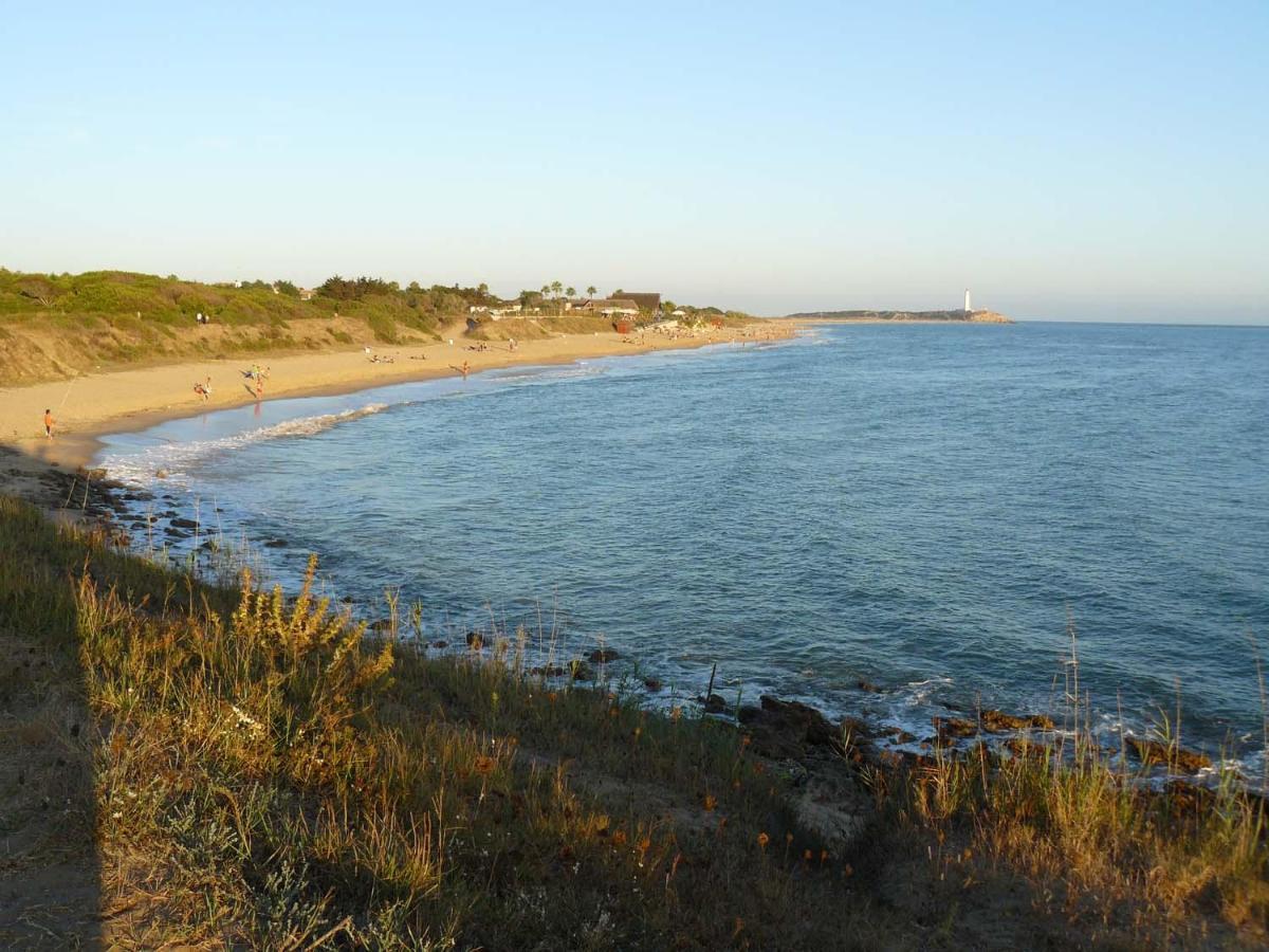 Villa Malyma Beach Front 10,000M2 Botanic Garden Саора Екстер'єр фото