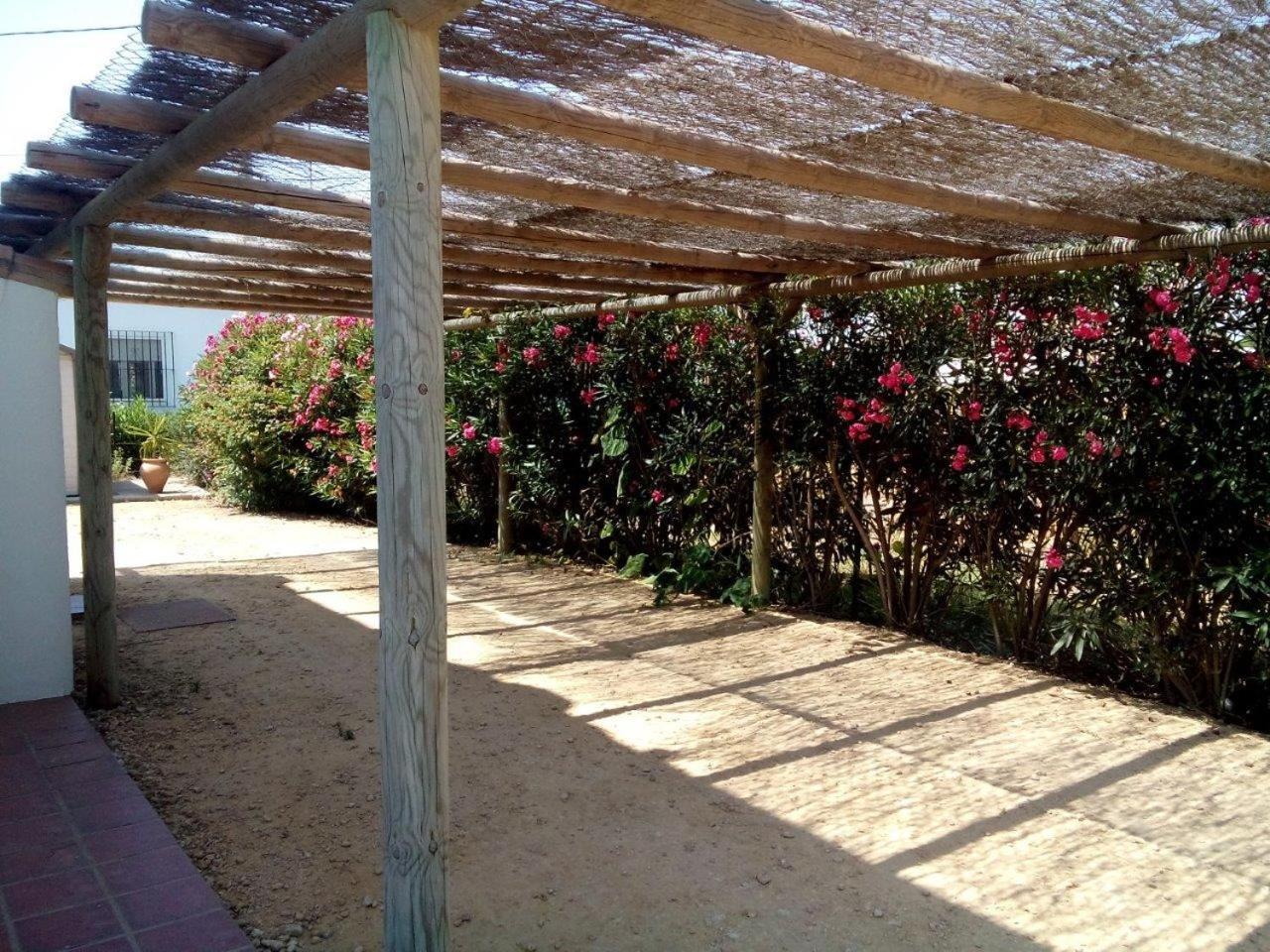 Villa Malyma Beach Front 10,000M2 Botanic Garden Саора Номер фото